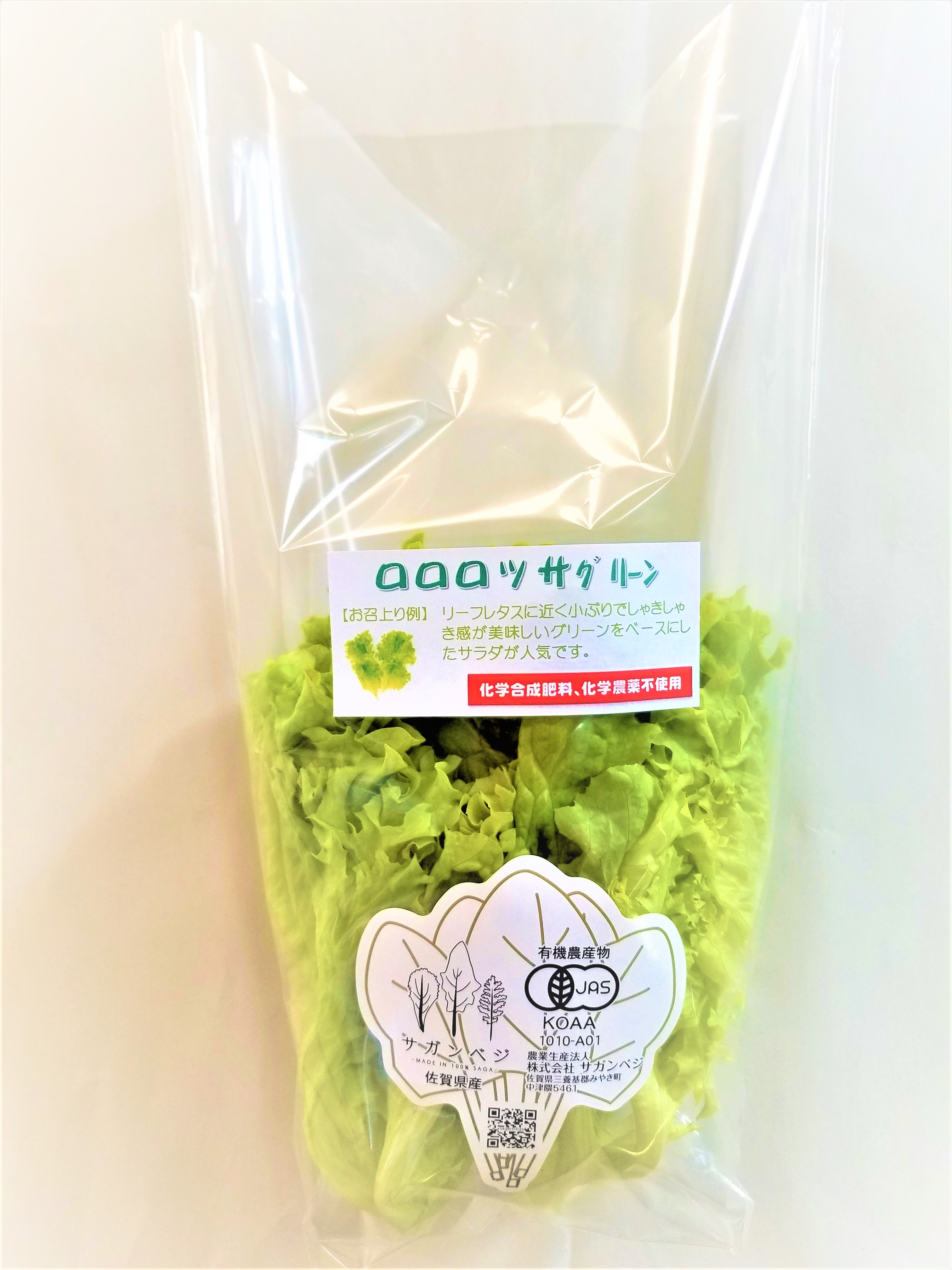 有機JAS ロログリーン 100g | ㈱Saganvege Co.,Ltd｜Food Biz Kyushu