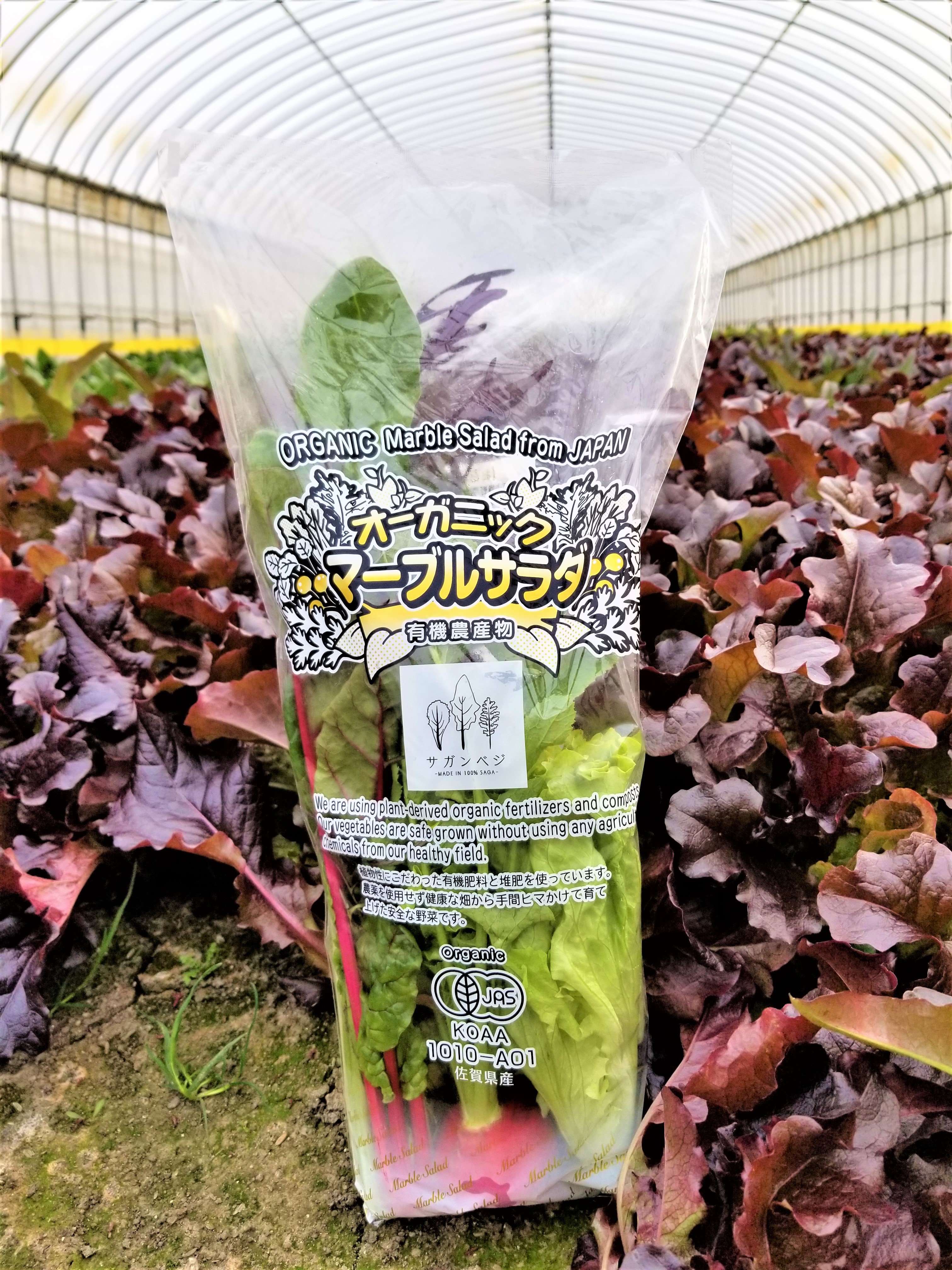 お待たせ! 有機JAS マーブルサラダ 150g | Saganvege Co.,Ltd｜Food Biz 和書
