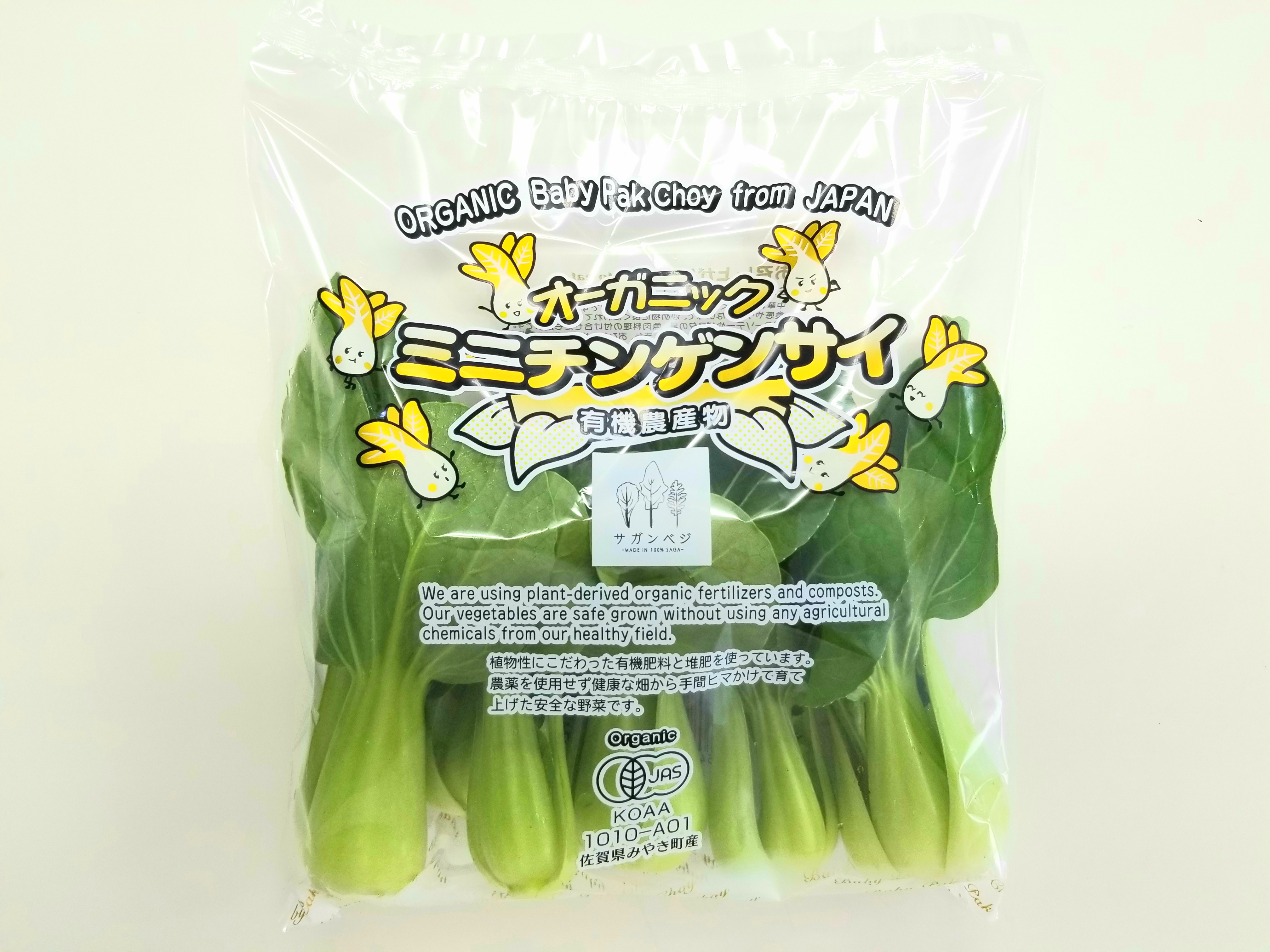 有機野菜! 旬の有機野菜Lセット しあわせ野菜畑（有機JAS）：静岡県産の野菜