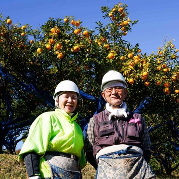 OMオリジナルクラフトコーラ（ボトル） | Oita Made㈱｜Food Biz