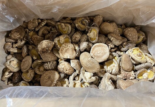 無農薬 九州産 どんこ 椎茸 原木育ち | 銘茶園|Food Biz Kyushu 無農薬 九州産 どんこ 椎茸 原木育ち | 銘茶園|Food Biz Kyushu