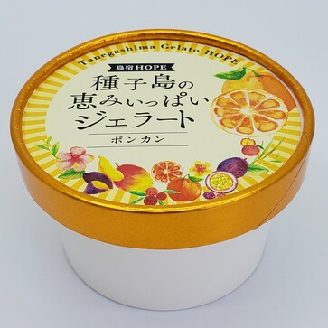 種子島の恵みいっぱいジェラート（ぽんかん） | ㈱HOPE｜Food Biz