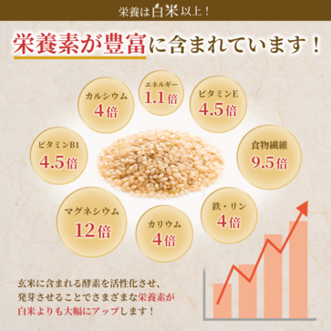 特Aひとめぼれ米 無洗米 発芽玄米（1.5kg） | ほっと