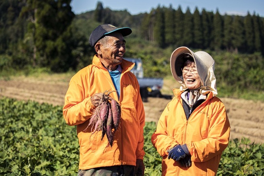 熟成やきいも（日本最大のさつまいも品評会で日本一を獲得） | ㈱FLAP