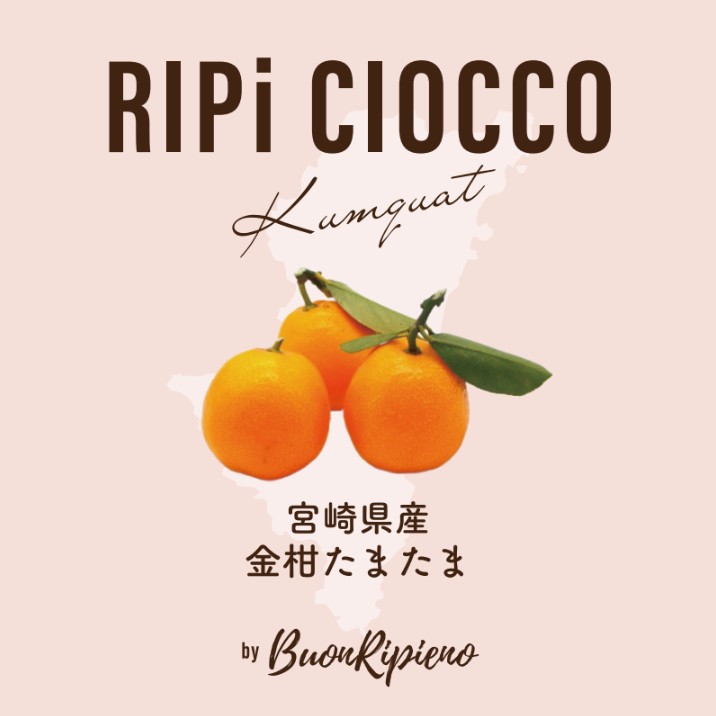 RIPiCIOCCO-リピチョコ-宮崎県産 金柑（たまたま） | ヴォーノ