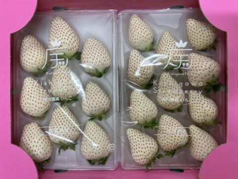 淡雪（白いちご）/こころの色（白いちご） | 岸川農園｜Food Biz