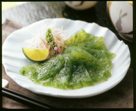 さしみ 青ささしみこんにゃく | ㈱秋山食品｜Food Biz Kyushu 食の豊かさ真の価値