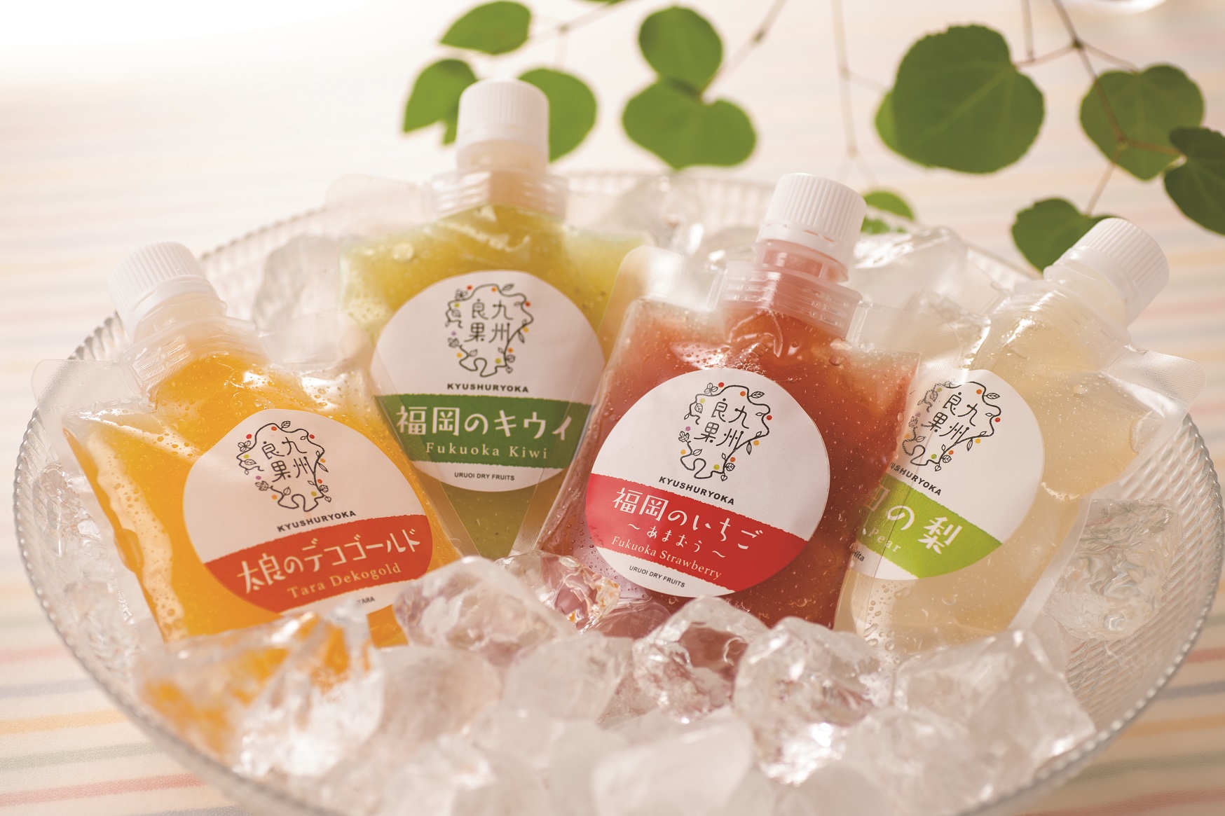 果実のジュレ 6個セット | フィールドベース｜Food Biz Kyushu 食の