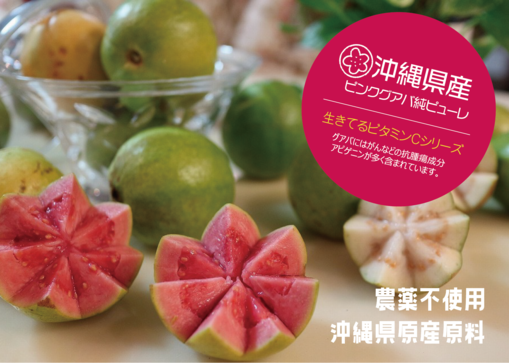 独創的 沖縄産ピンクグアバ純スムージー 100g | 琉球guava entireiy 果物