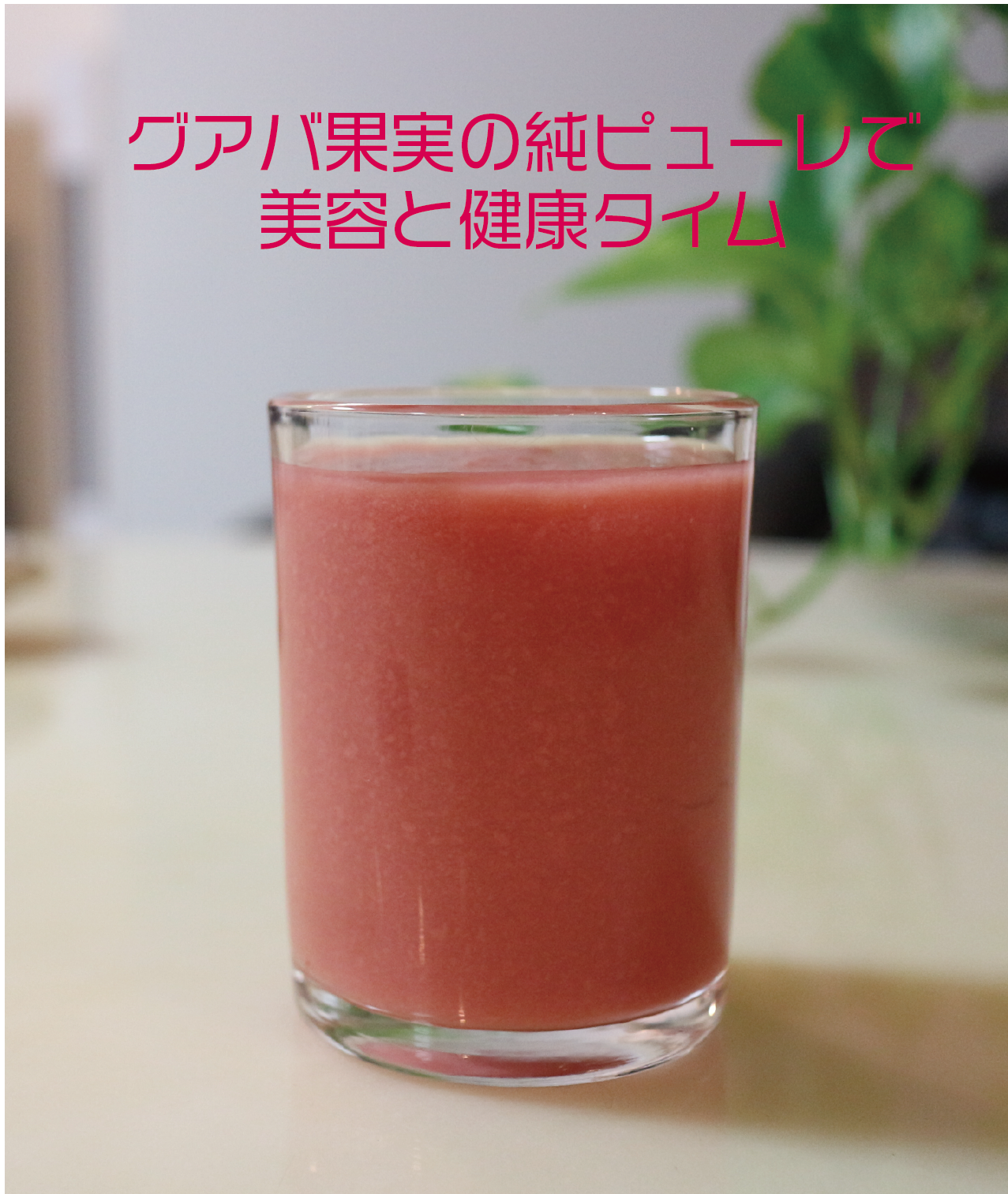 クイーングアバ2キロ 台湾産ドライフルーツ】ドライレッドグァバ 紅心芭楽乾 愛上新鮮