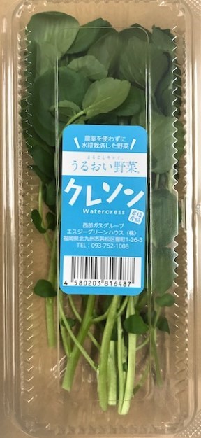 うるおい野菜 ‐ クレソン」 | エスジーグリーンハウス㈱｜Food Biz