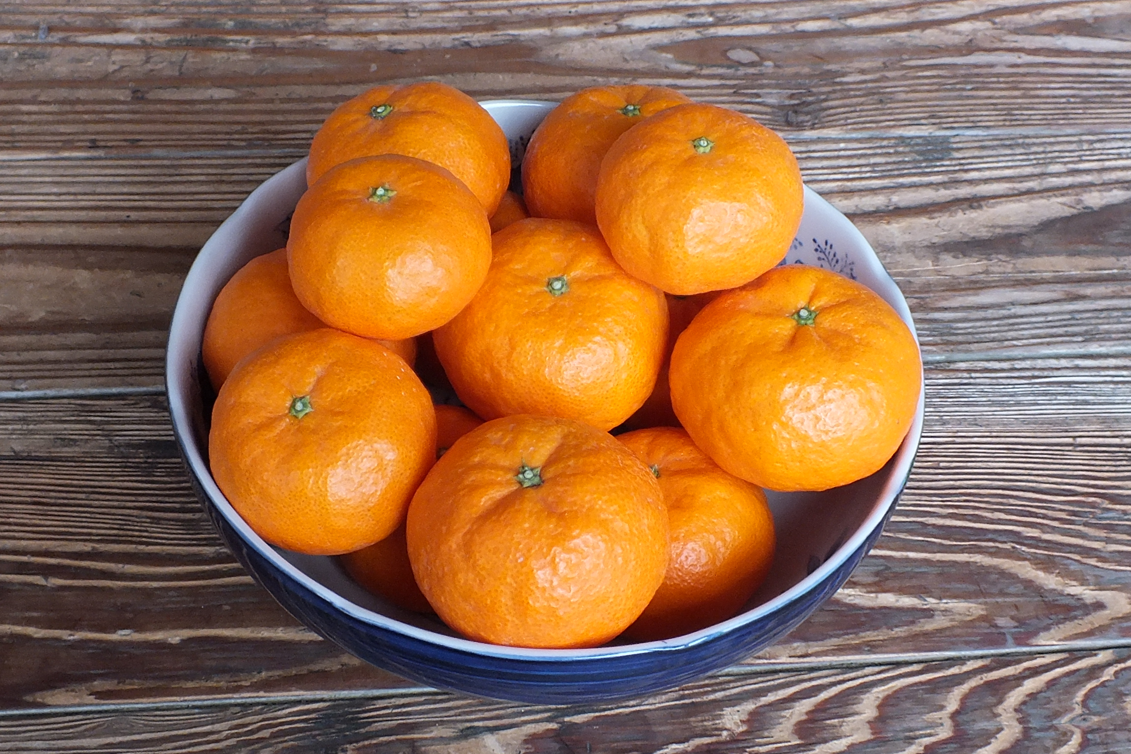フレッシュ 味香みかん | “恵味香” megumika｜Food Biz Kyushu 食の