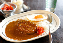 宮崎県認証どんぐりの恵みハンバーグカレー | ㈱ウェルネス｜Food Biz